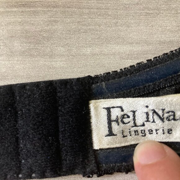 Beautiful Felina Bra - Picture 7 of 12